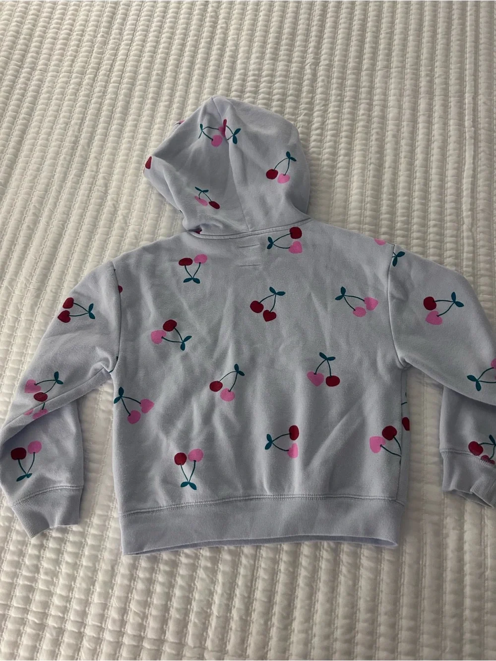 GAP Light Blue Hoodie with Pink & Red Cherry Print. Size 8